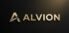 alvionshoes.com